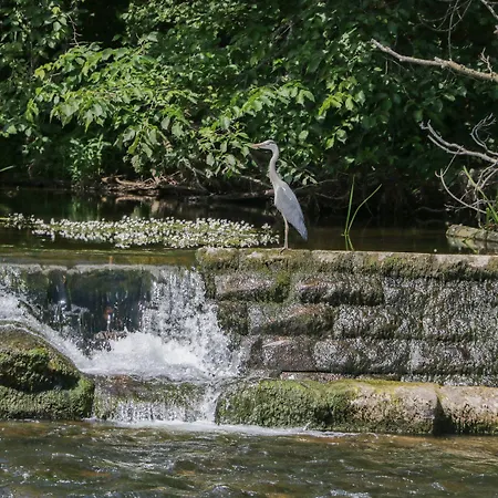 The Herdwick Hideaway At Eamont Park 펜션